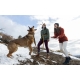Ruffwear Roamer vodítko s amortizérom River Rock Green veľ. L