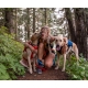 Ruffwear Switchbak postroj s vreckami Red Sumac veľ. M