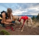 Ruffwear Switchbak postroj s vreckami Red Sumac veľ. M