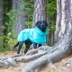Rukka Hase Rain pláštenka modrá veľ. 60