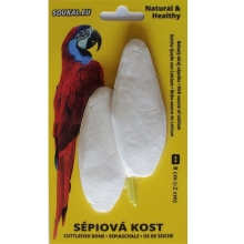 Sépiová kosť na karte 8 cm (2 ks)