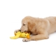 Snuffle Toy Duck čuchacia hračka na maškrty 36 cm