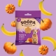 Soopa Healthy Bites Senior maškrty s banánom, tekvicou a ľanovým semienkom 50 g