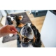 Soopa Puppy dentálne tyčinky s banánom a tekvicou 100 g
