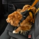 Thule Cappy postroj do auta veľ. L
