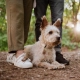 Tickless Pet ultrazvukový odpudzovač kliešťov a bĺch ružový