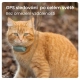 Tractive GPS Cat Mini Tracker pre mačky mentolový