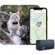 Tractive GPS Cat Mini Tracker pre mačky modrý
