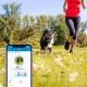 Tractive GPS Dog 4 Tracker pre psov biely