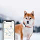 Tractive GPS Dog 4 Tracker pre psov biely