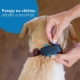 Tractive GPS Dog 4 Tracker pre psy modrý