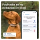 Tractive GPS Dog 6 Tracker pre psov hnedý