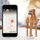 Tractive GPS Tracker pre domácich miláčikov