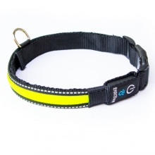 Tractive LED svietiaci obojok žltý veľ. L ARCHÍV