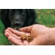 Tribal Trainers Snack Duck, Carrot & Apple 80 g