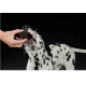 Trixie Black & White Cookies 100 g