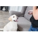 Trixie Dog Activity Clicker s teleskopickým vysúvaním 14-65 cm MIX farieb