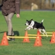 Trixie Dog Activity prekážky (3 ks) 23 x 30 cm/78 cm