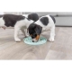 Trixie Junior Dog Activity lizácie miska pre šteňa 15 cm