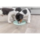 Trixie Junior Dog Activity lizácie miska pre šteňa 15 cm