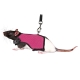 Trixie Soft postroj s vodítkom pre potkany MIX farieb 12-18 cm