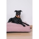 Vadigran Stargaze Origin ortopedický matrac Iconic Pink 100 cm