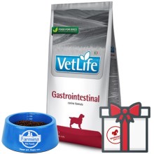 Vet Life Dog Gastrointestinal 12 kg