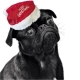 Vianočná čiapka Nobby pre psov a mačky 18 cm