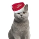 Vianočná čiapka Nobby pre psov a mačky 18 cm