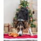 Vianočná plyšová hračka Gingerbread pre psy Trixie 22 cm