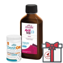 Vitar Veterinae ArtiVit sirup 200 ml + DentOn 50 g