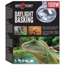Žiarovka Repti Planet Daylight 100 W