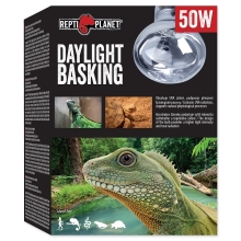 Ziarovka Repti Planet Daylight 50 W