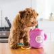 ZippyPaws Burrow interaktívna hračka Donuty s kávou 20 cm