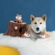 ZippyPaws Burrow líšky v pníku 30 cm