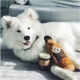 ZippyPaws Happy Hour Crusherz Whiskey s PET fliaš 27 cm