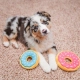 ZippyPaws Mini Donutz čokoládový 13 cm